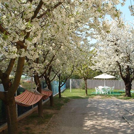 Apartman Heviz Holiday Zewnętrze zdjęcie