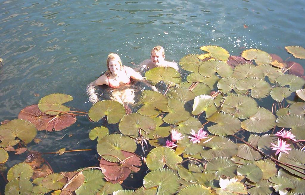 Apartman Heviz Holiday Zewnętrze zdjęcie